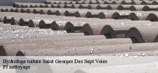 Hydrofuge toiture  saint-georges-des-sept-voies-49350 PJ nettoyage