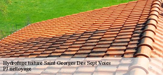 Hydrofuge toiture  saint-georges-des-sept-voies-49350 PJ nettoyage