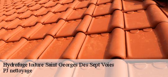 Hydrofuge toiture  saint-georges-des-sept-voies-49350 PJ nettoyage