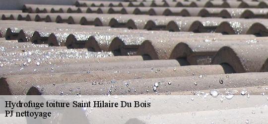 Hydrofuge toiture  saint-hilaire-du-bois-49310 PJ nettoyage