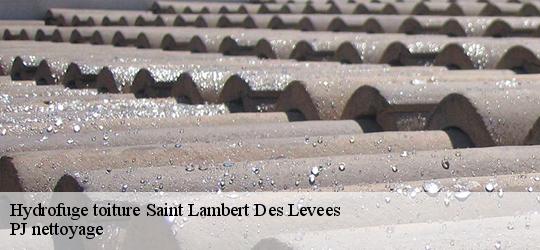 Hydrofuge toiture  saint-lambert-des-levees-49400 PJ nettoyage