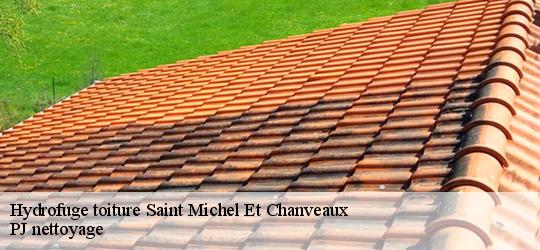 Hydrofuge toiture  saint-michel-et-chanveaux-49420 PJ nettoyage
