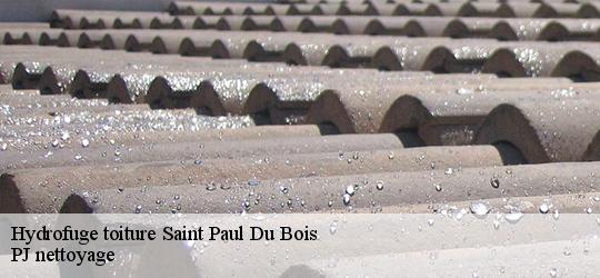 Hydrofuge toiture  saint-paul-du-bois-49310 PJ nettoyage
