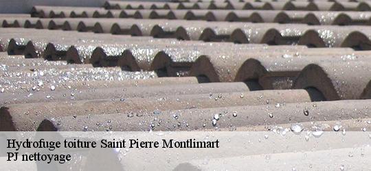 Hydrofuge toiture  saint-pierre-montlimart-49110 PJ nettoyage