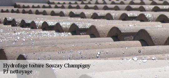 Hydrofuge toiture  souzay-champigny-49400 PJ nettoyage