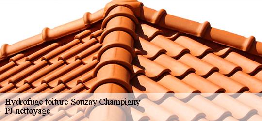 Hydrofuge toiture  souzay-champigny-49400 PJ nettoyage