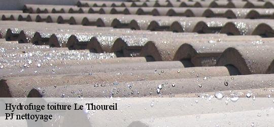 Hydrofuge toiture  le-thoureil-49350 PJ nettoyage