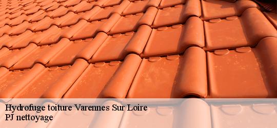 Hydrofuge toiture  varennes-sur-loire-49730 PJ nettoyage