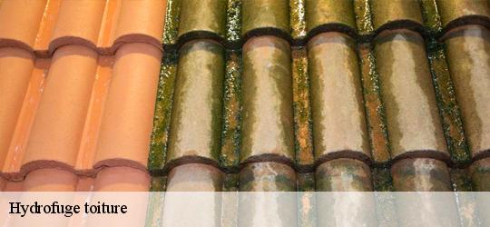 Hydrofuge toiture  le-voide-49310 PJ nettoyage